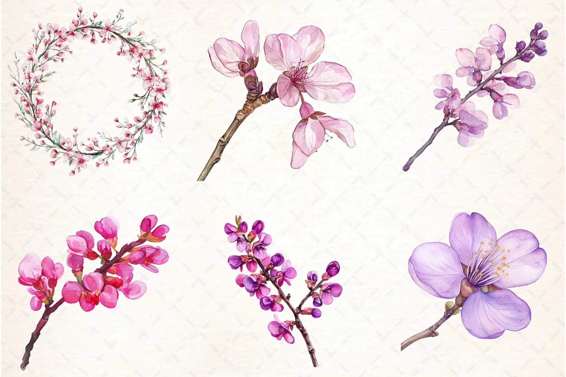 Spring Redbud Flower Clipart Bundle 3 - CraftNest - Digital Crafting and Art