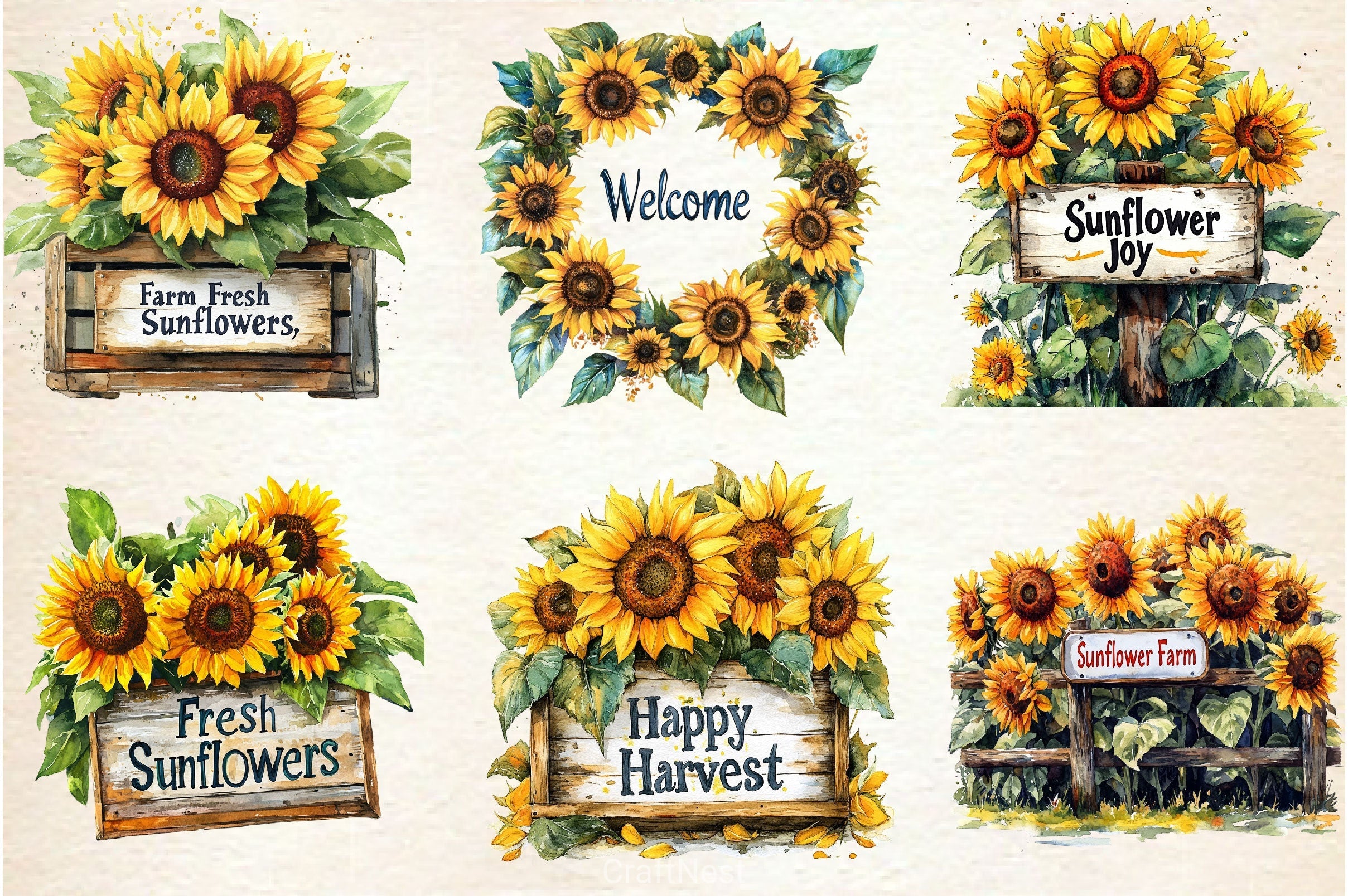 Summer Sunflowers Signs Clipart Bundle