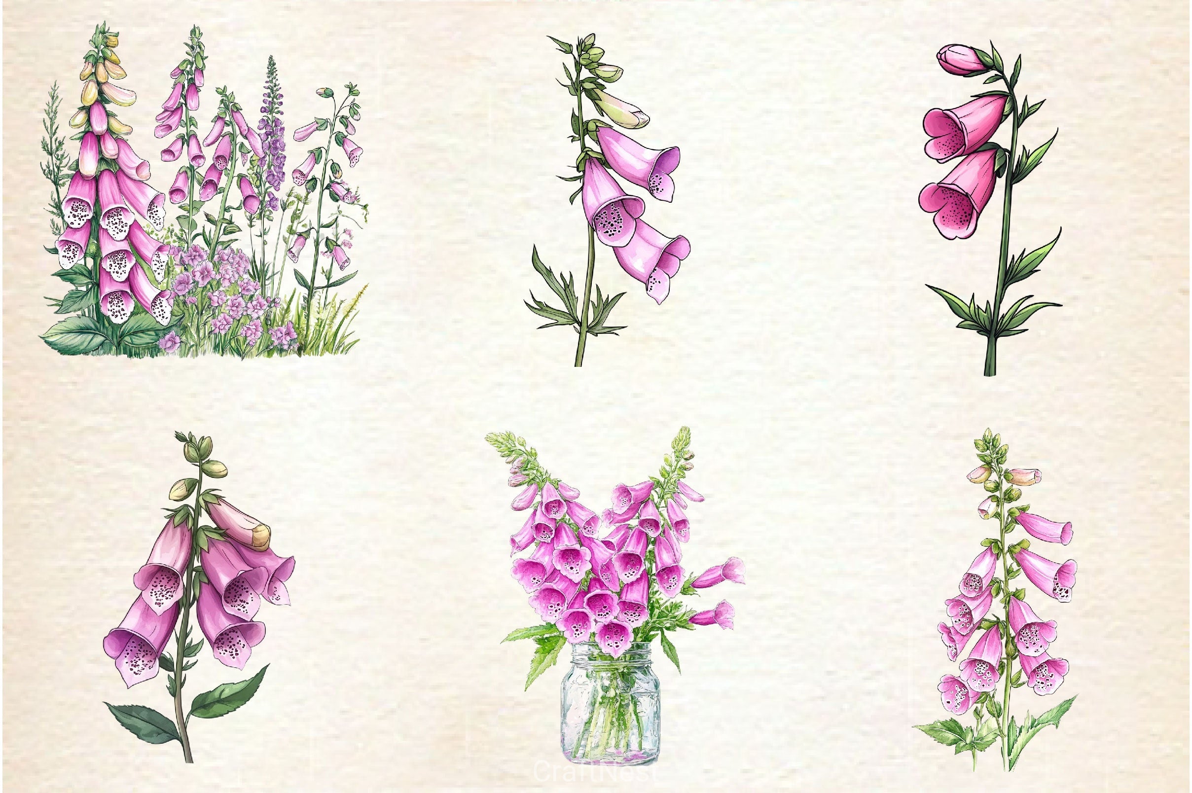 Pink Flowers Foxglove Clipart Bundle
