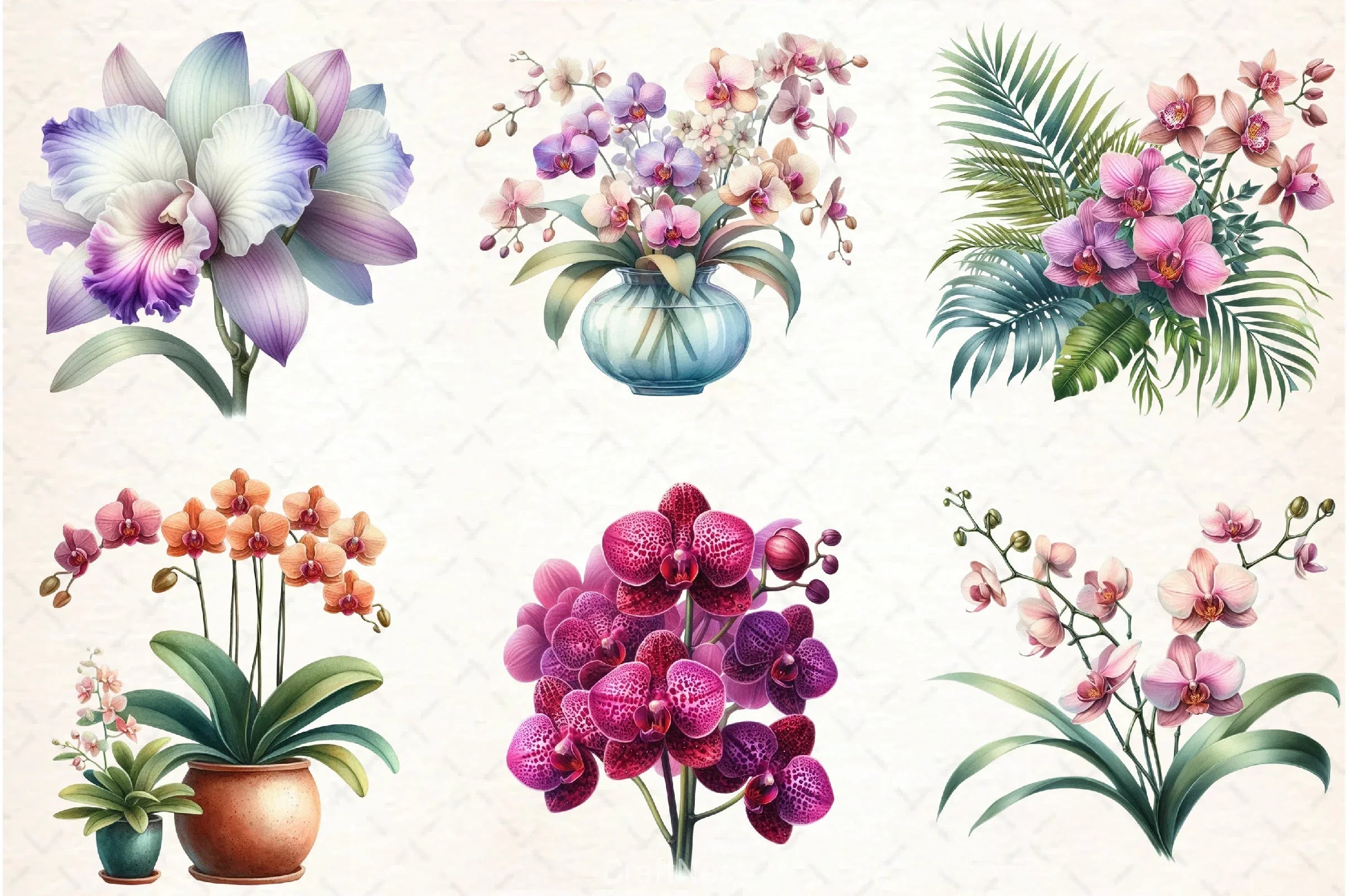 Orchid Clipart Bundle 4 - CraftNest - Digital Crafting and Art