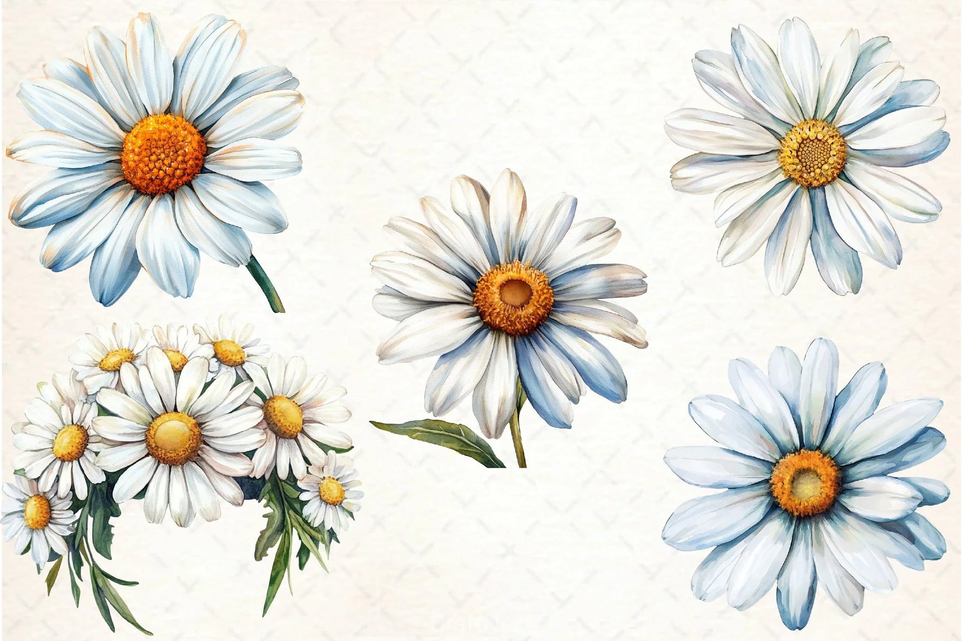 Daisy Clipart Bundle 2 - CraftNest - Digital Crafting and Art