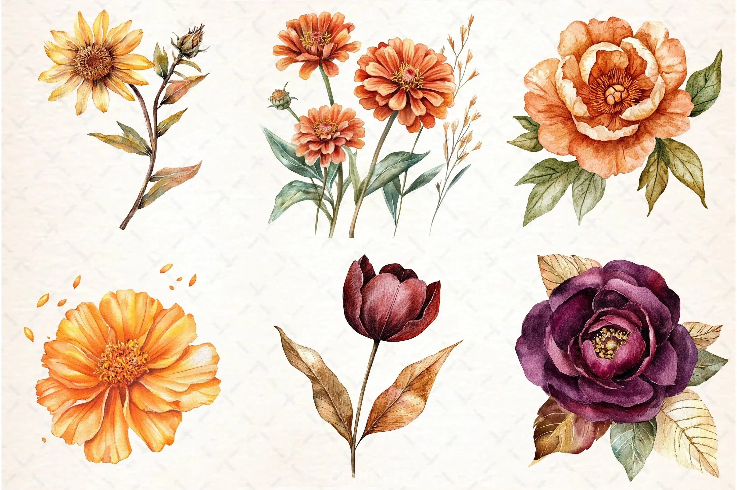 Fall Flower Clipart Bundle 2 - CraftNest - Digital Crafting and Art