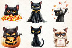 Crazy Black Cats Clipart Bundle 2 - CraftNest - Digital Crafting and Art