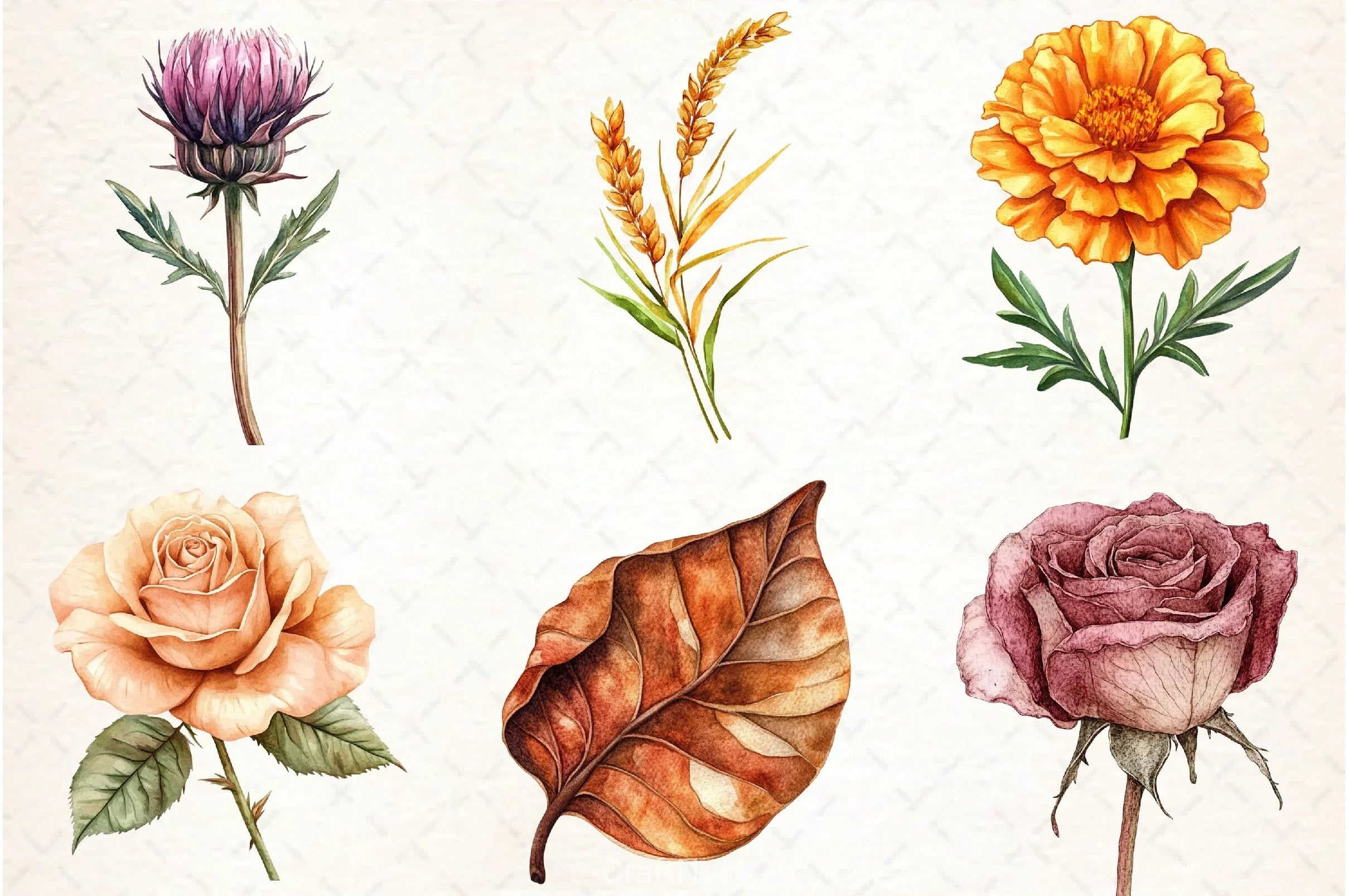 Fall Flowers & Leaves Clipart Bundle 6 - CraftNest - Digital Crafting and Art