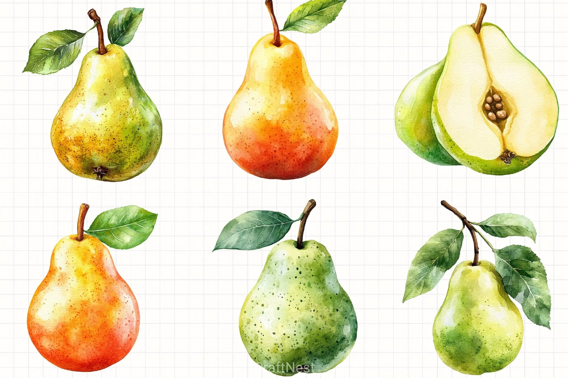Pear Clipart Bundle 2 - CraftNest - Digital Crafting and Art