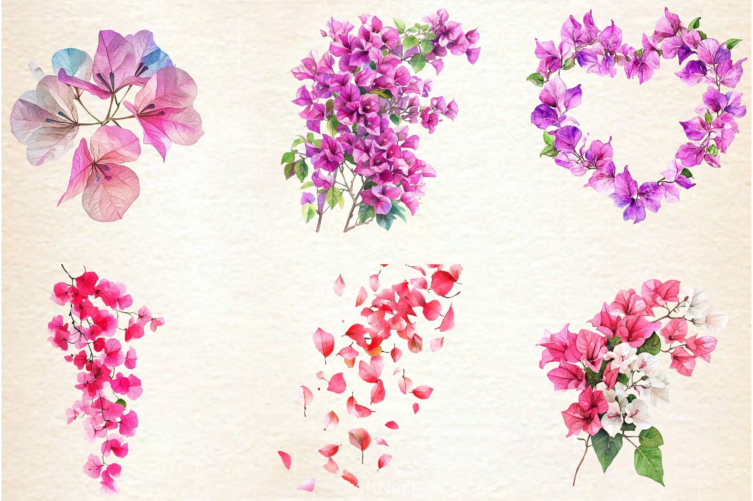 Bougainvillea Flower Clipart Bundle 3