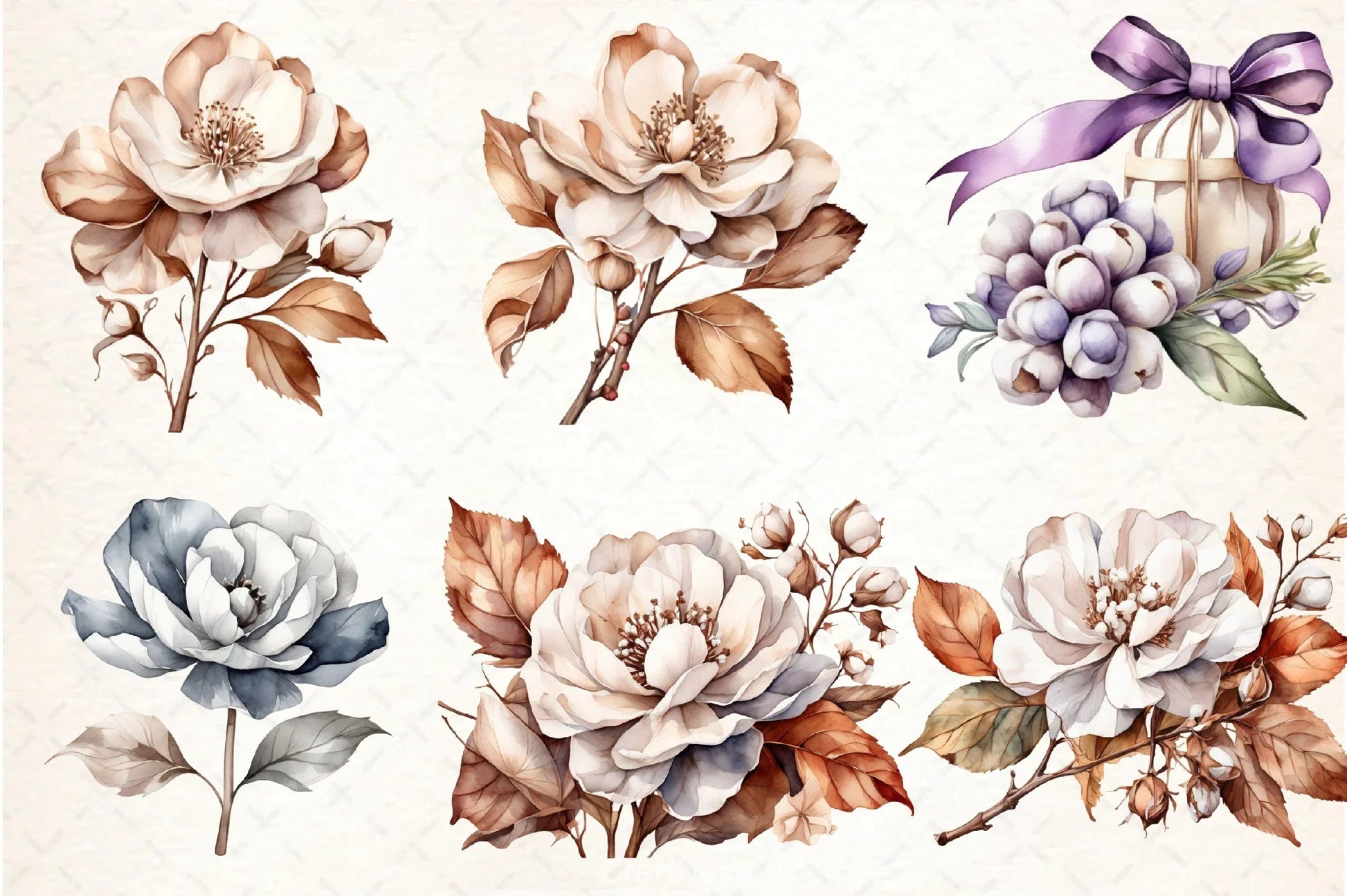 Cotton Flower Clipart Bundle - CraftNest - Digital Crafting and Art