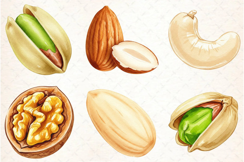 Nuts Clipart Bundle 5 - CraftNest - Digital Crafting and Art