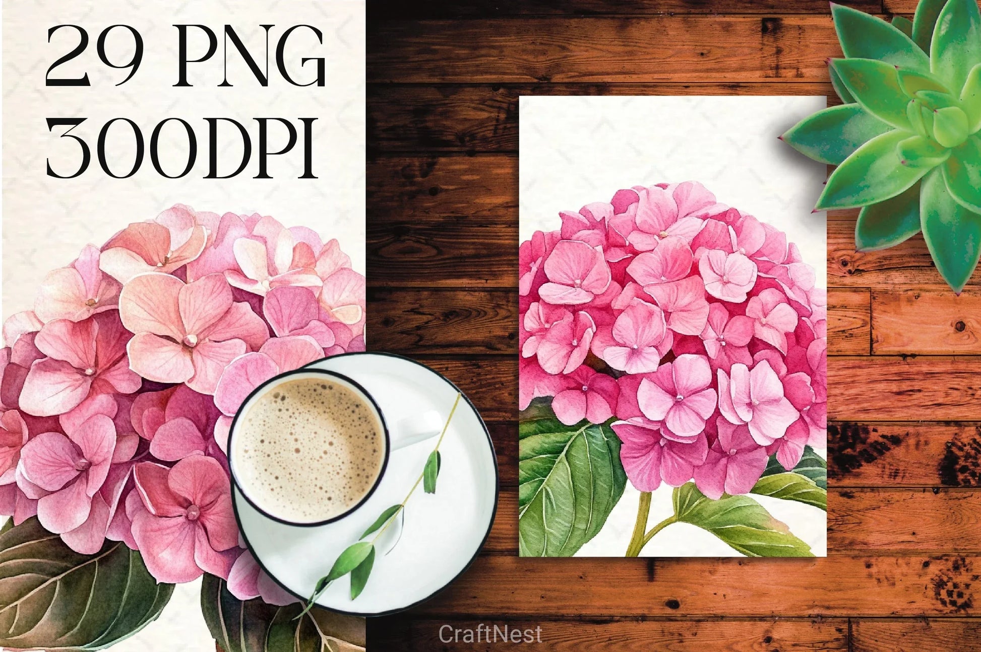 Hydrangea Clipart Bundle 12 - CraftNest - Digital Crafting and Art