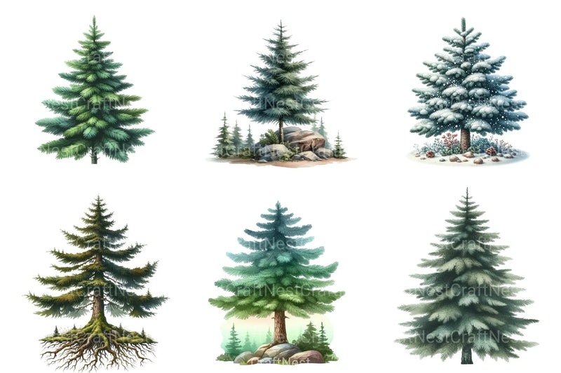 Christmas Pine Trees Clipart Bundle - CraftNest - Digital Crafting and Art