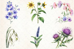 Wild Flower Clipart Bundle - CraftNest - Digital Crafting and Art