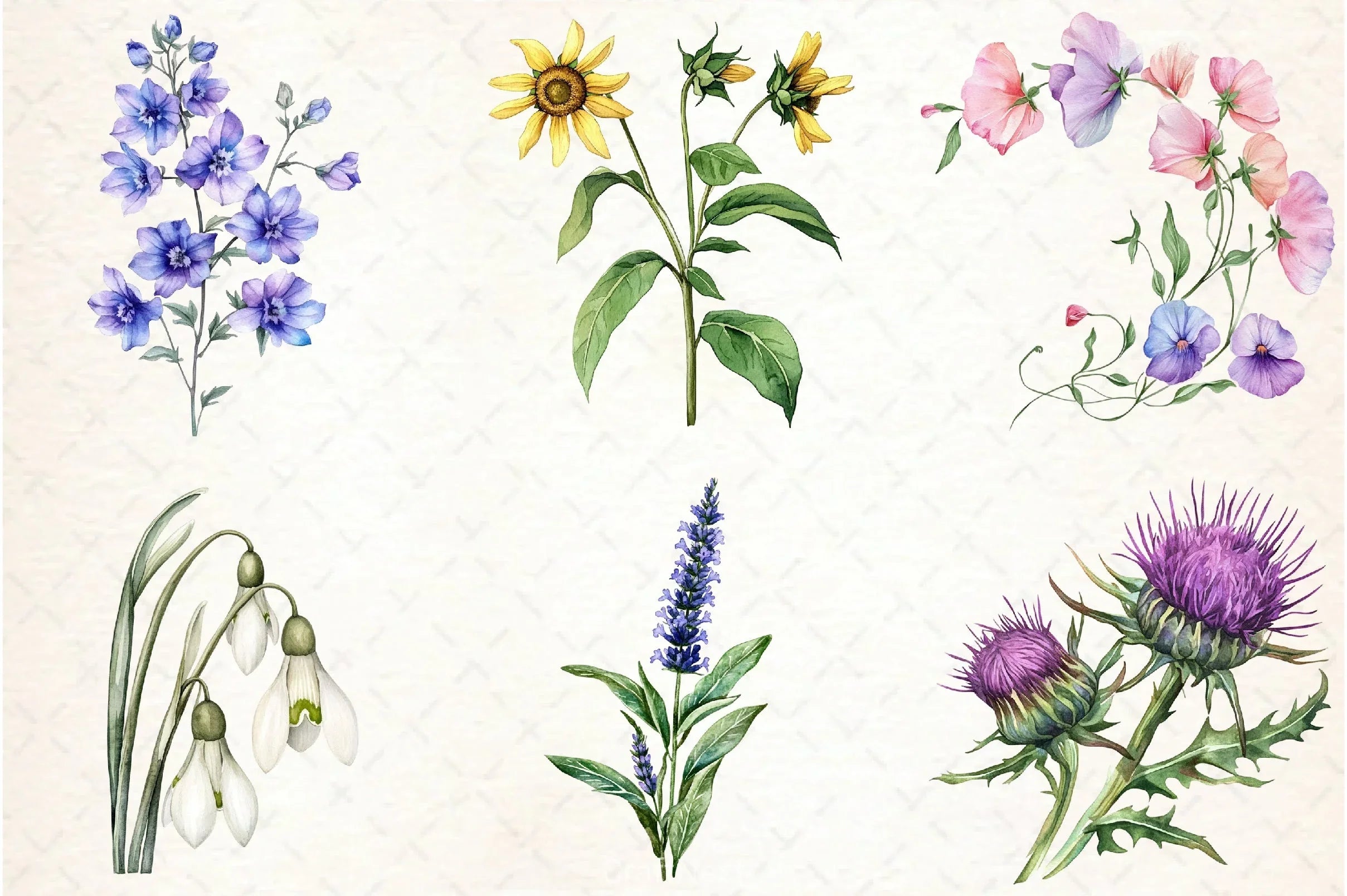 Wild Flower Clipart Bundle - CraftNest - Digital Crafting and Art