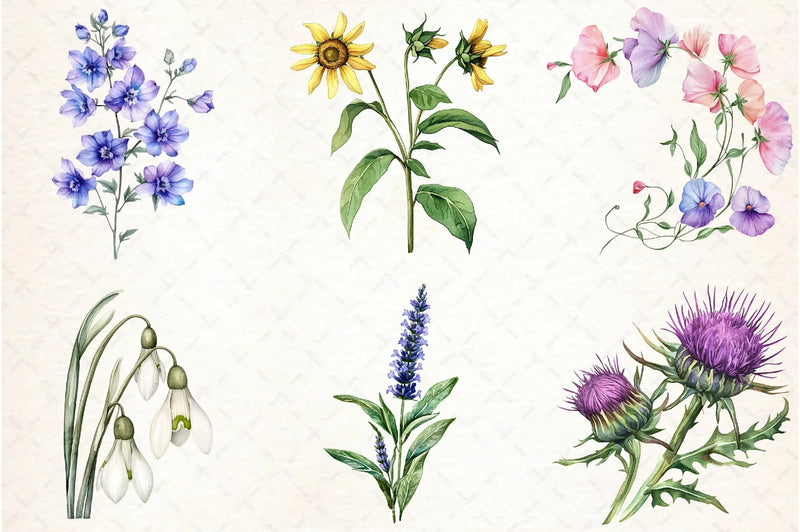 Wild Flower Clipart Bundle - CraftNest - Digital Crafting and Art