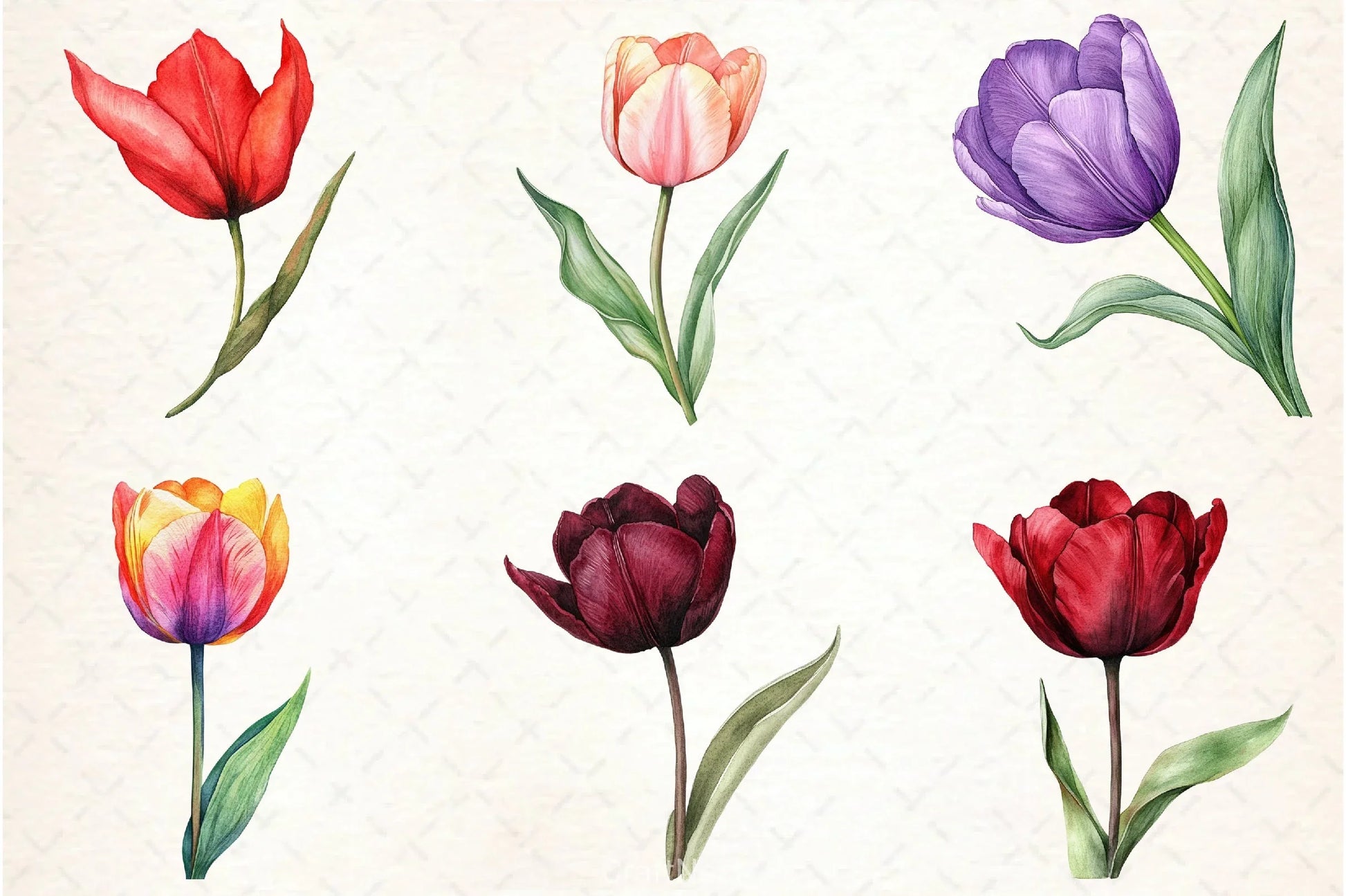 Tulip Flower Clipart Bundle 5 - CraftNest - Digital Crafting and Art