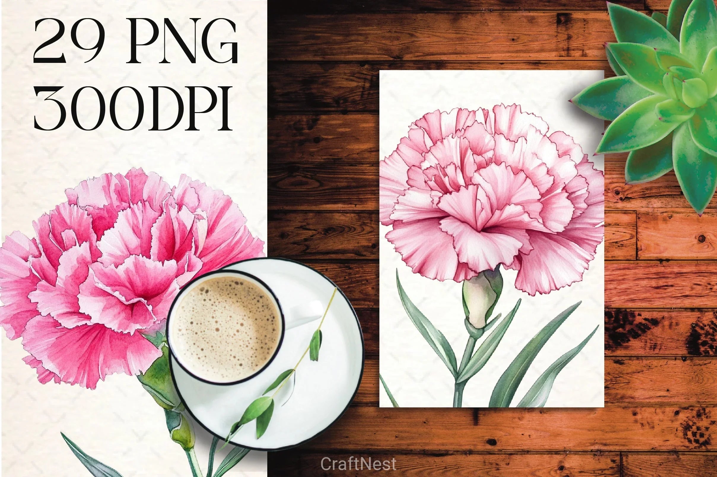Carnation Flower Clipart Bundle - CraftNest - Digital Crafting and Art