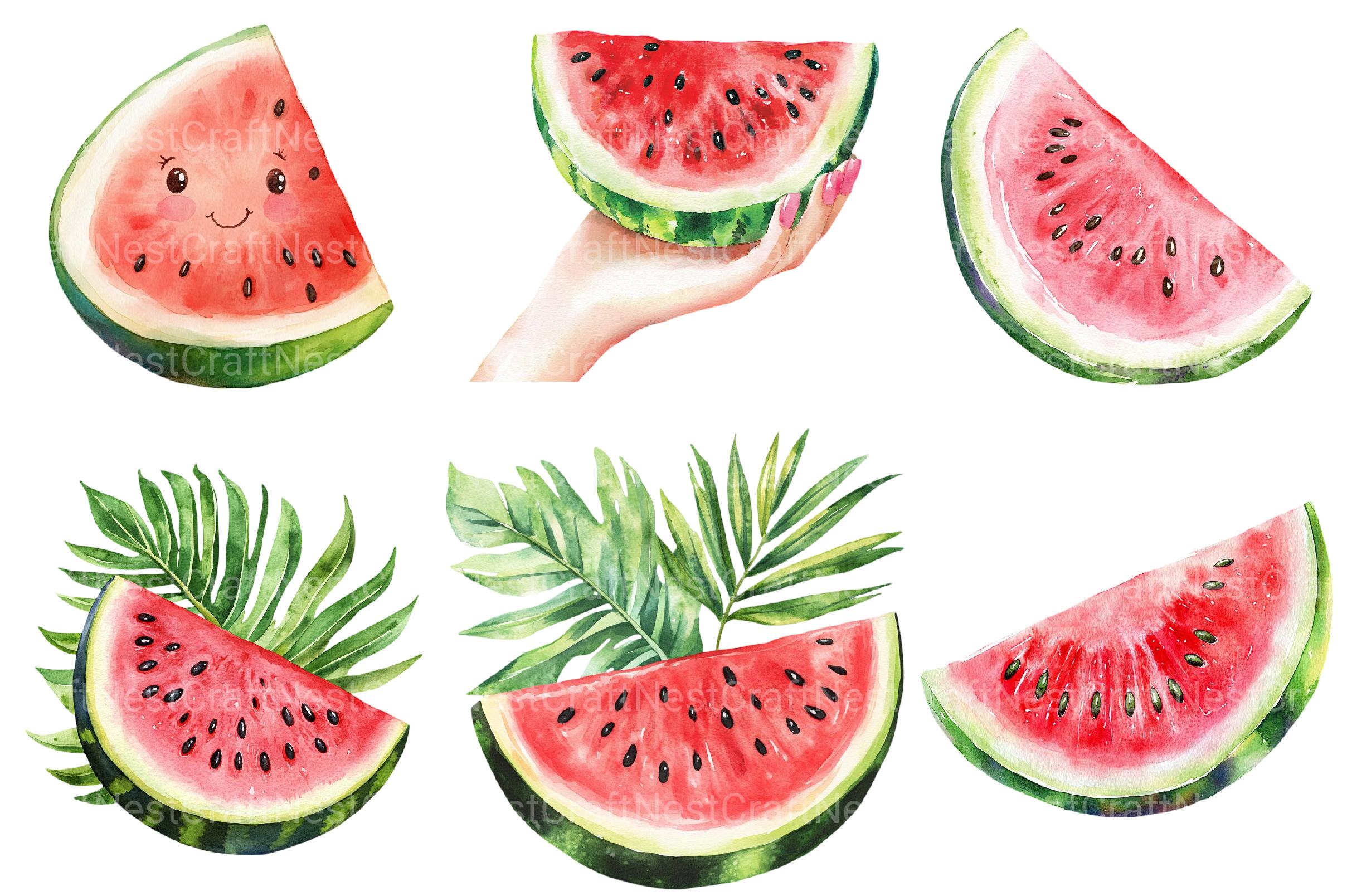 Summer Juicy Watermelon Clipart