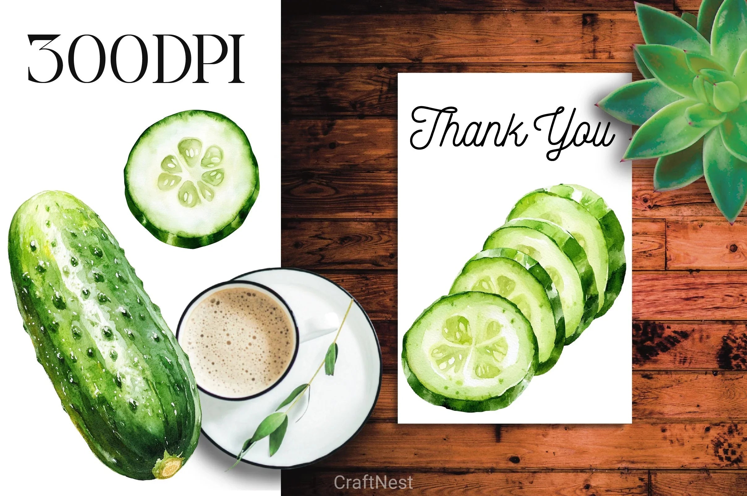 Cucumber Clipart Bundle - CraftNest - Digital Crafting and Art