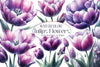 Tulips Clipart Bundle