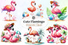 Flamingo Clipart Bundle