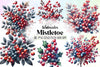 Mistletoe Clipart Bundle