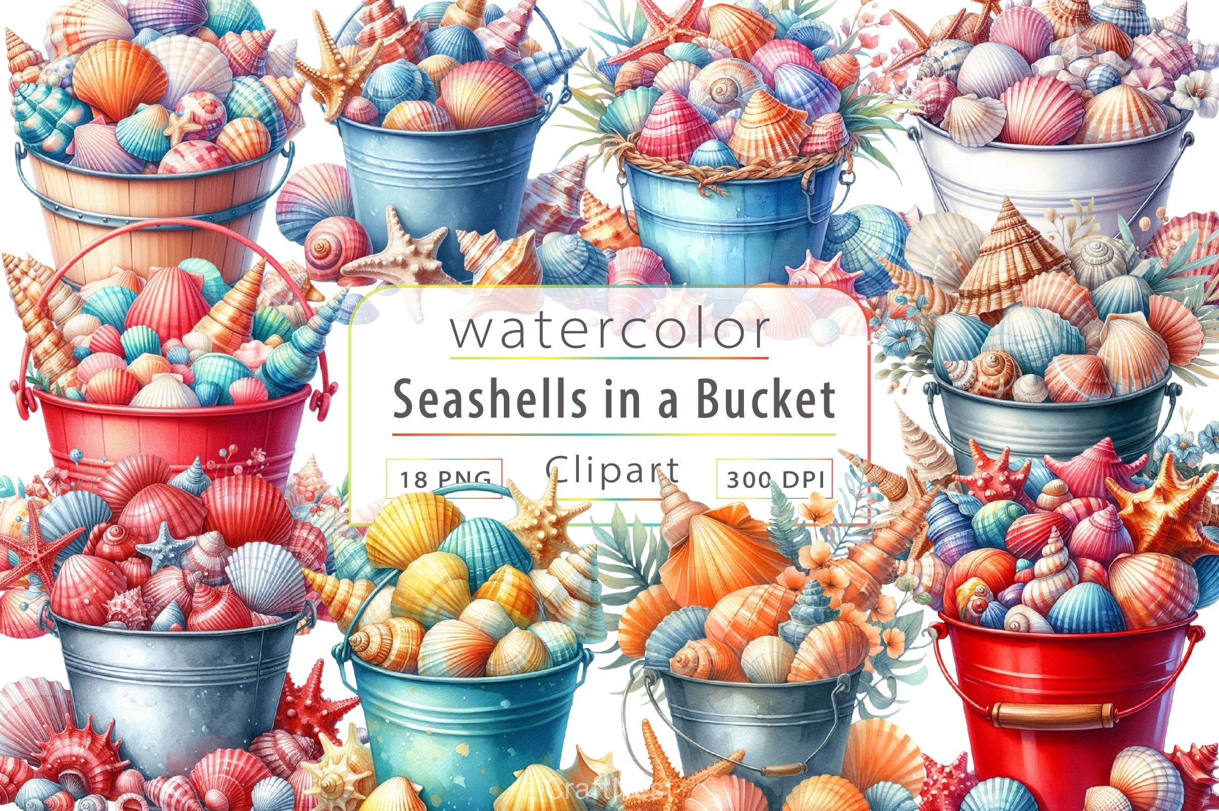 Seashells In A Bucket Clipart Bundle