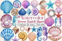 Summer Seashell Clipart Bundle 3 - CraftNest - Digital Crafting and Art