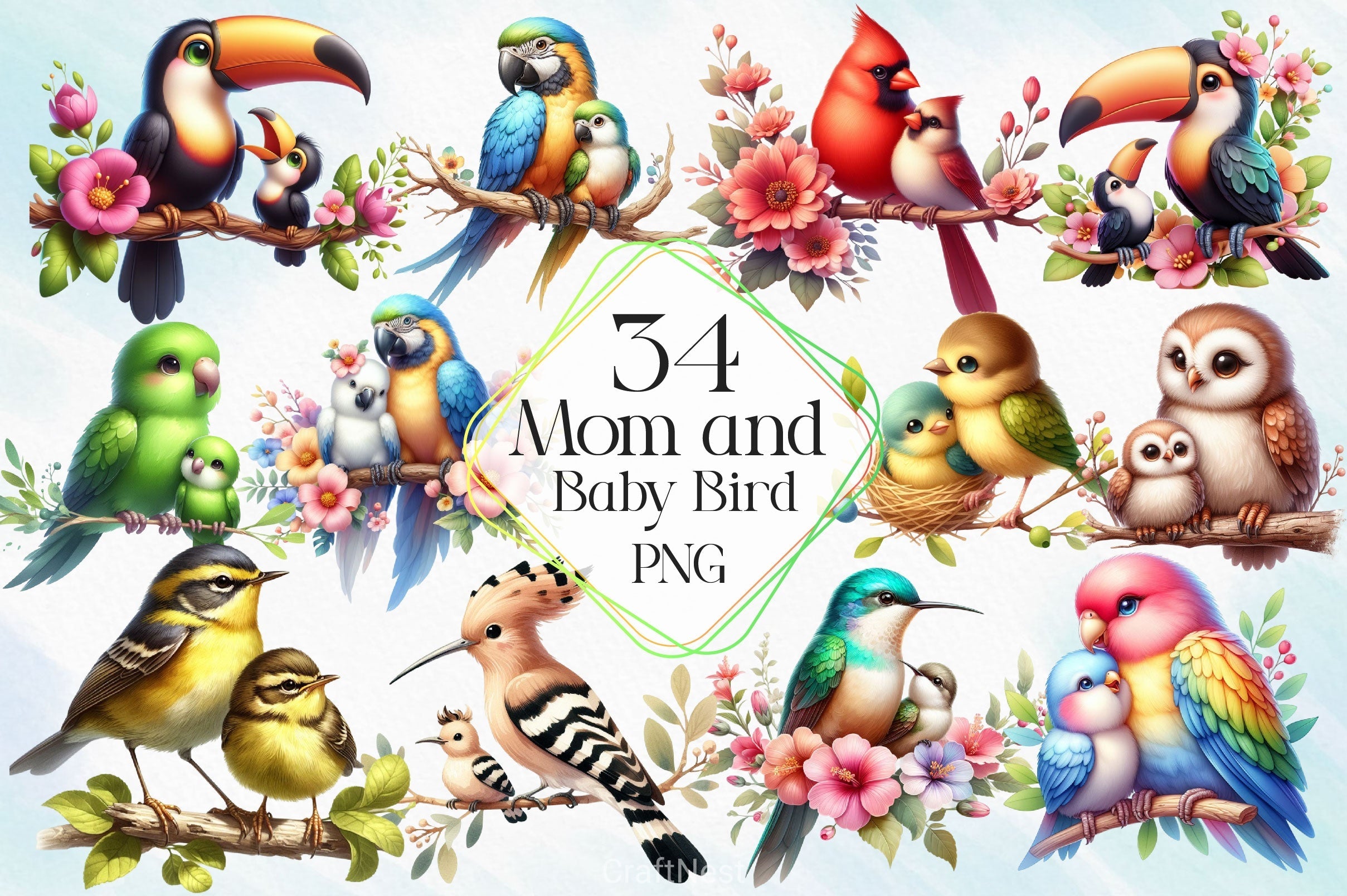 Mom And Baby Bird Clipart Bundle 2
