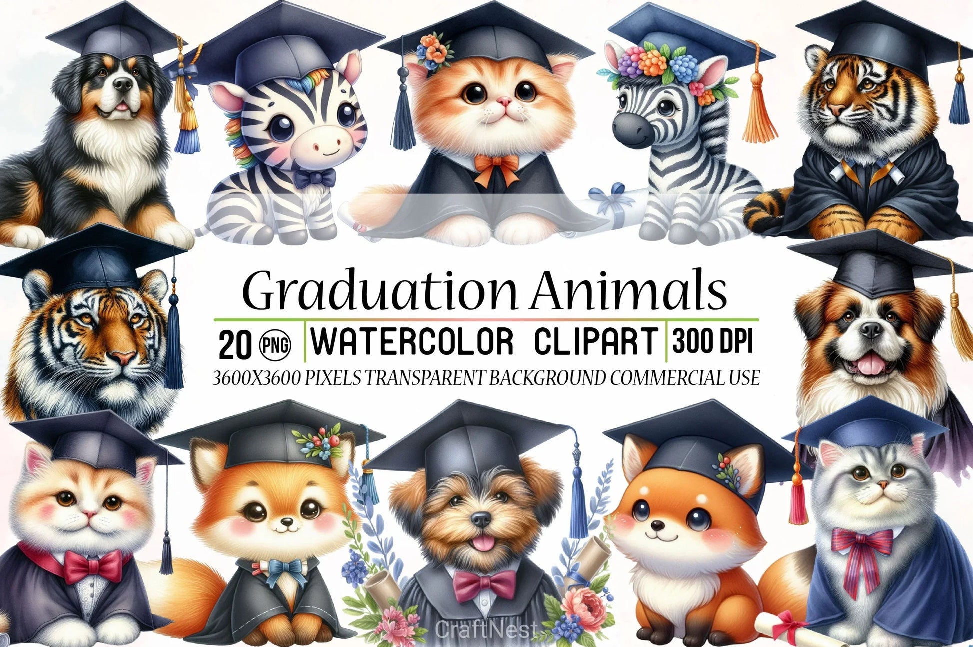Graduation Animals Clipart Bundle - CraftNest - Digital Crafting and Art