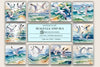 Seagulls & Sea Background Papers