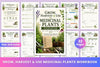 Grow Harvest Medicinal Plants Workbook