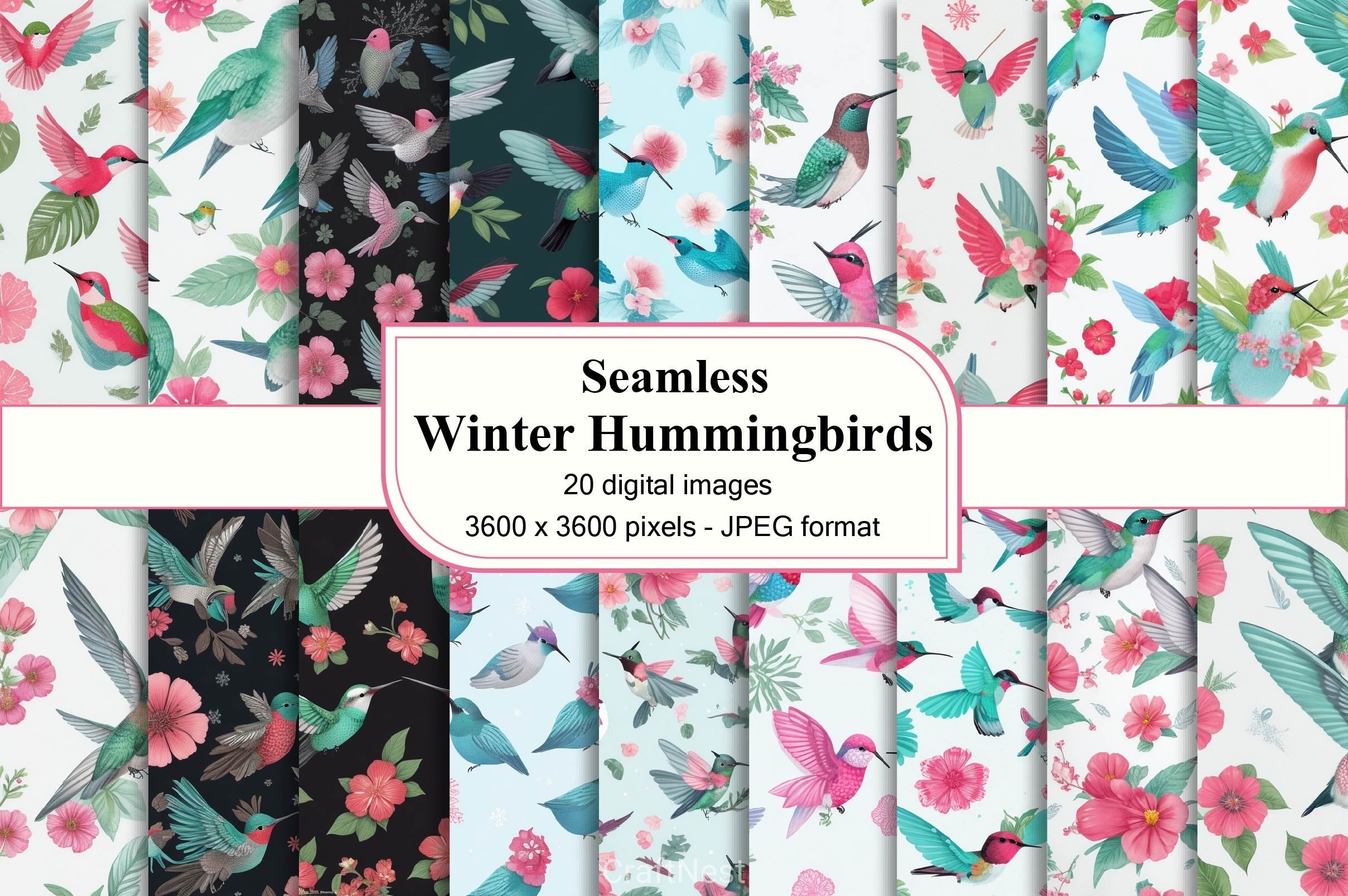 Winter Hummingbirds Digital Papers