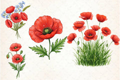 Poppies Clipart Bundle 2 - CraftNest - Digital Crafting and Art