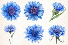 Blue Cornflower Clipart Bundle - CraftNest - Digital Crafting and Art