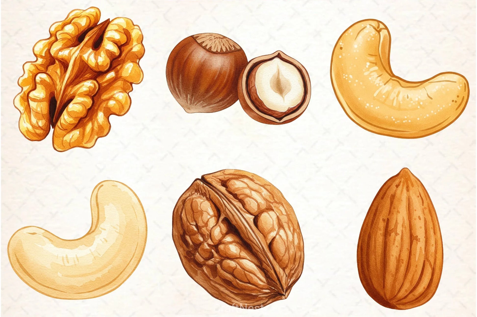 Nuts Clipart Bundle 5 - CraftNest - Digital Crafting and Art