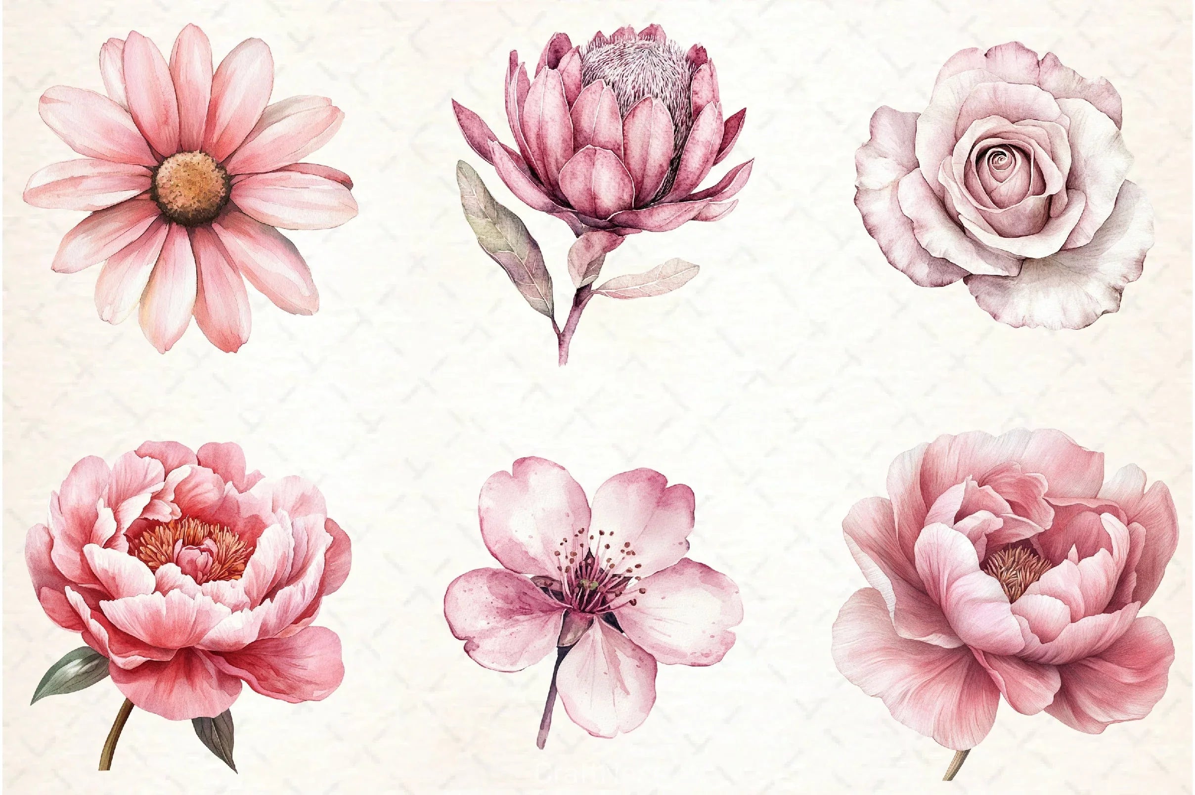 Dusty Pink Flowers Clipart Bundle - CraftNest - Digital Crafting and Art