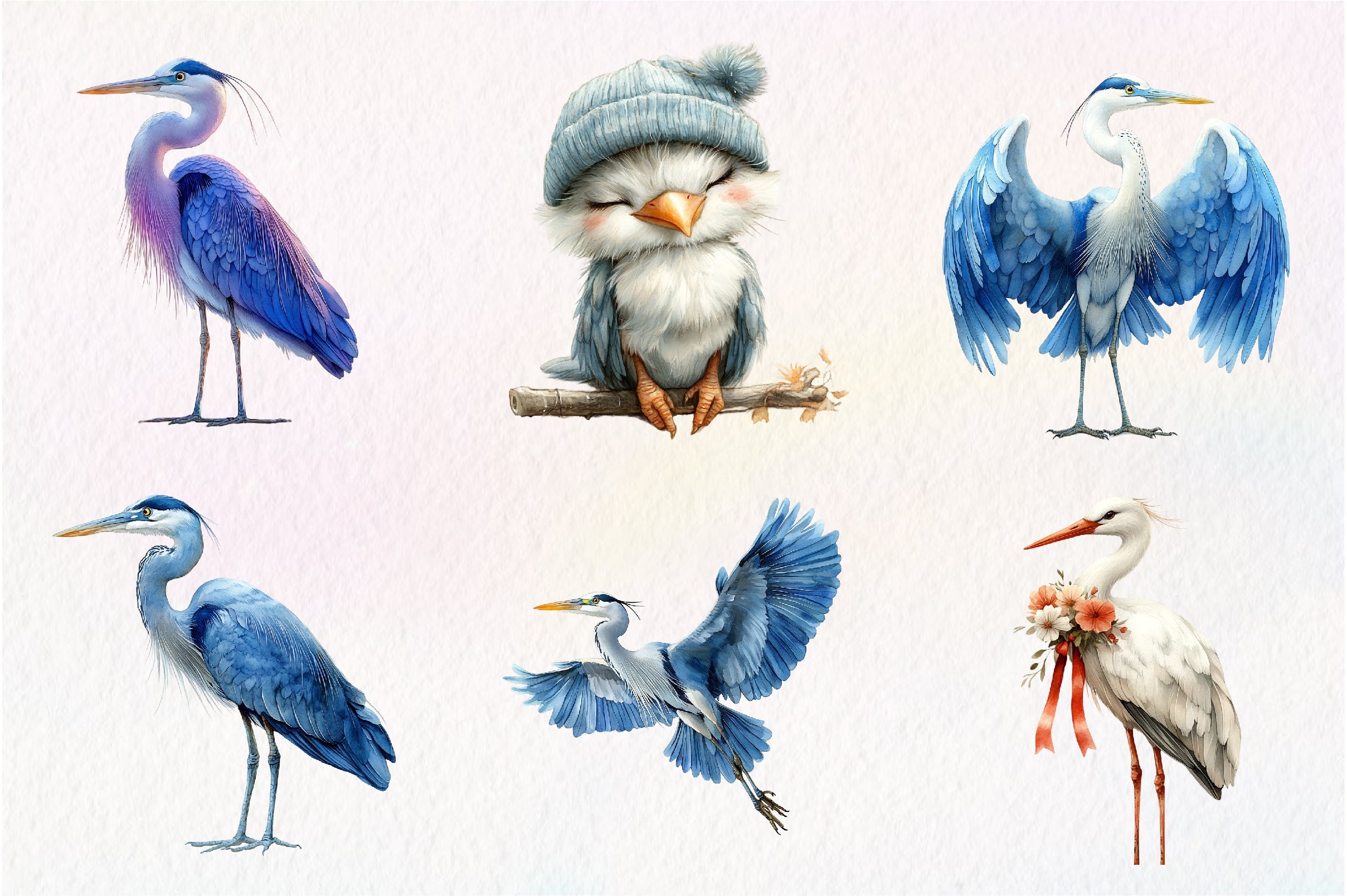 White Stork Heron Clipart Bundle