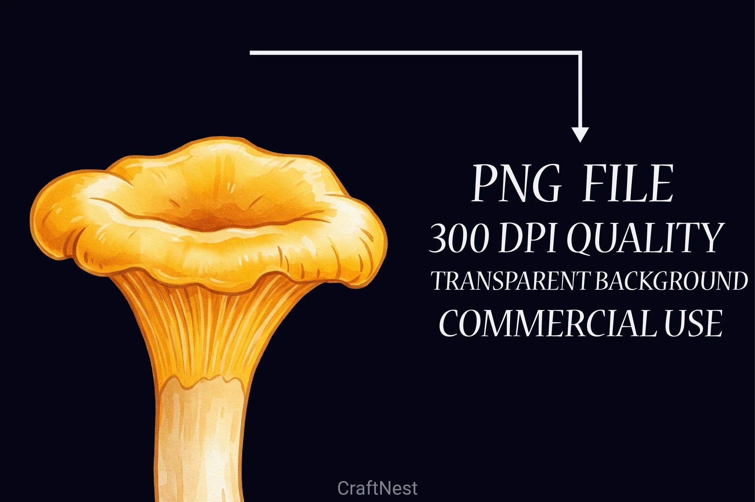 Edible Mushrooms Clipart Bundle - CraftNest - Digital Crafting and Art