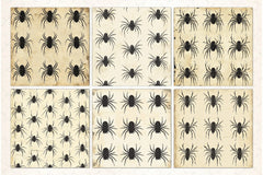 Halloween Spiders Digital Paper Pack - CraftNest - Digital Crafting and Art