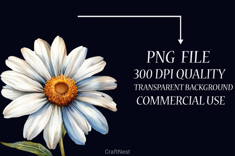 Daisy Clipart Bundle 1 - CraftNest - Digital Crafting and Art