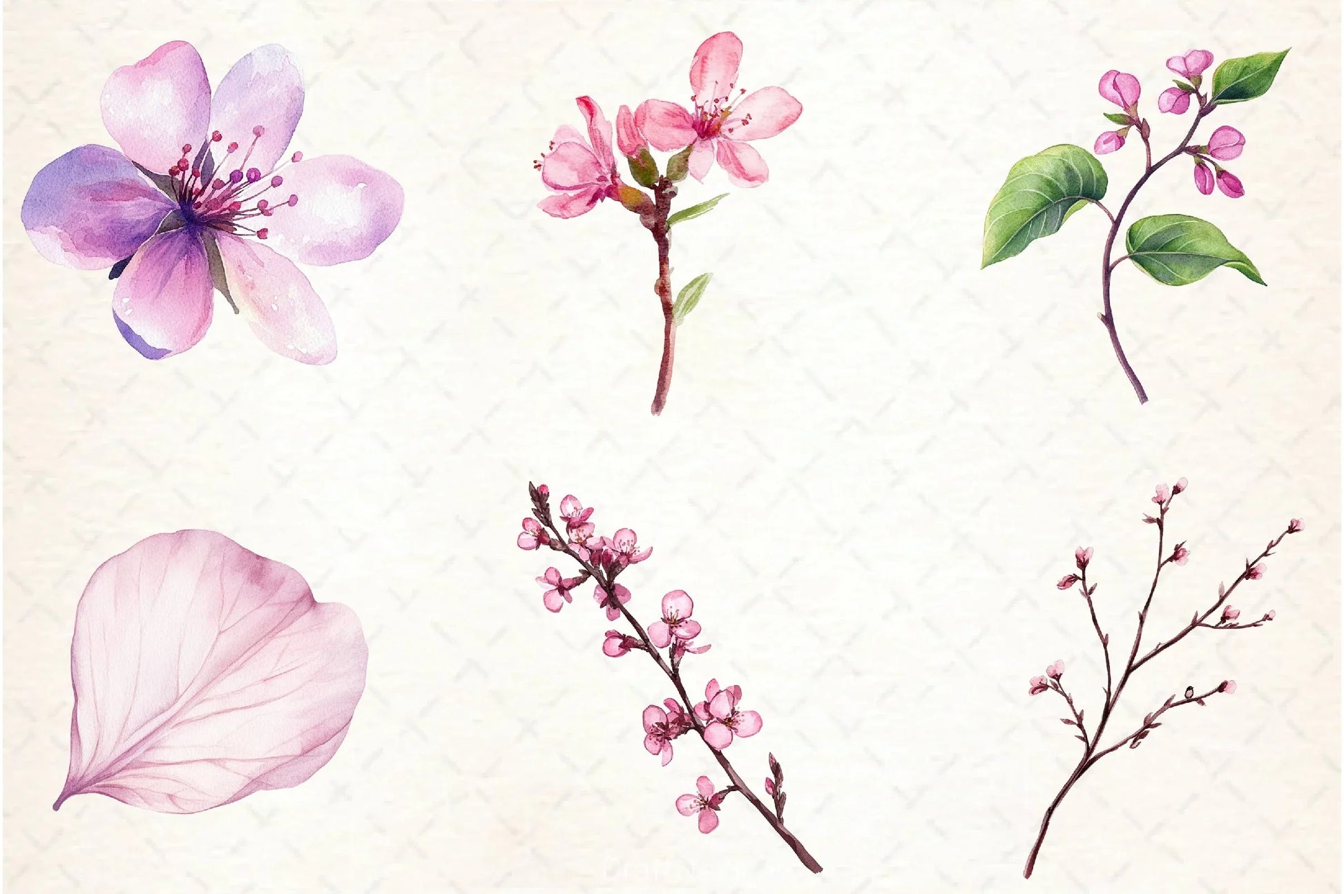 Spring Redbud Flower Clipart Bundle 3 - CraftNest - Digital Crafting and Art