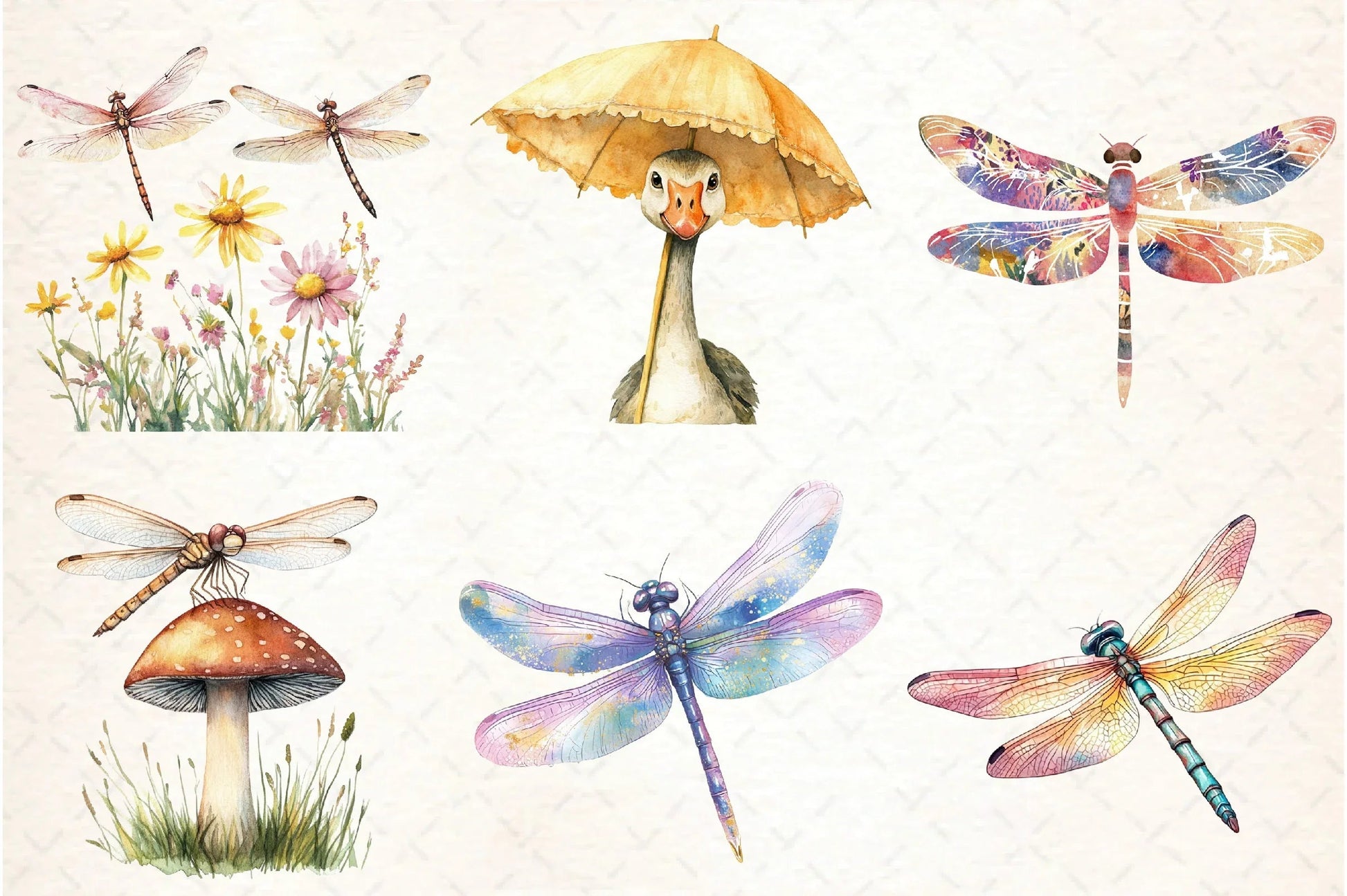 Summer Dragonfly Garden Clipart Bundle - CraftNest - Digital Crafting and Art