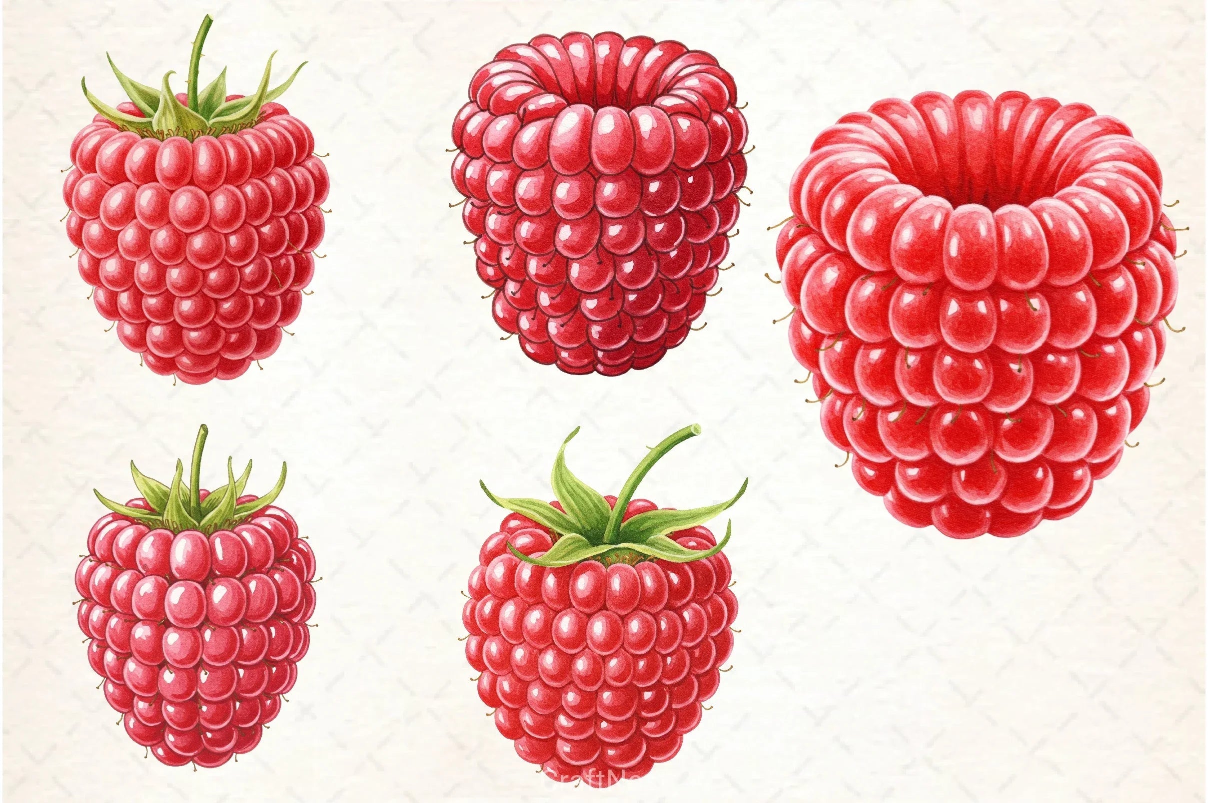 Raspberry Clipart Bundle - CraftNest - Digital Crafting and Art