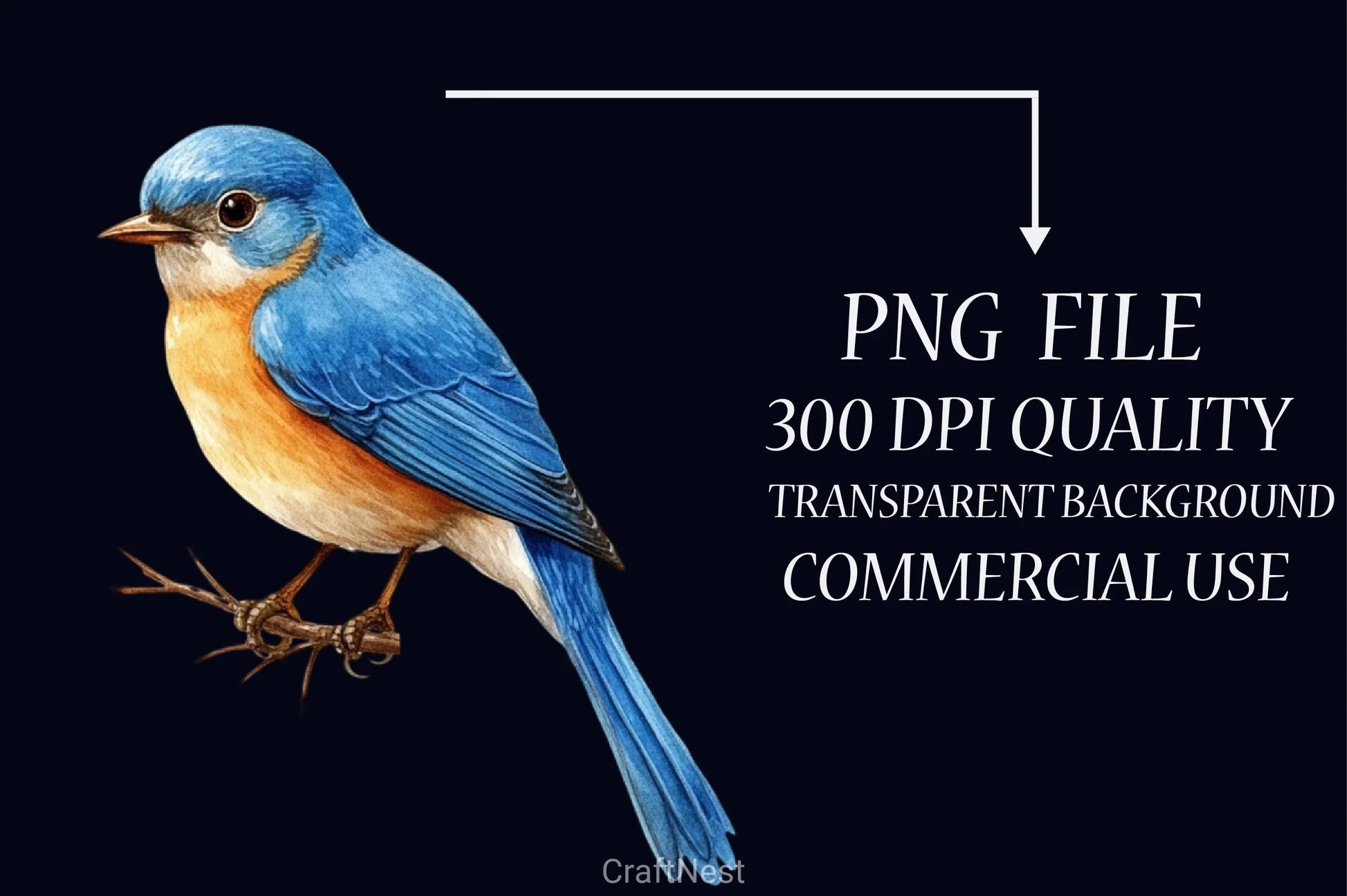 Garden Clipart Bundle - CraftNest - Digital Crafting and Art