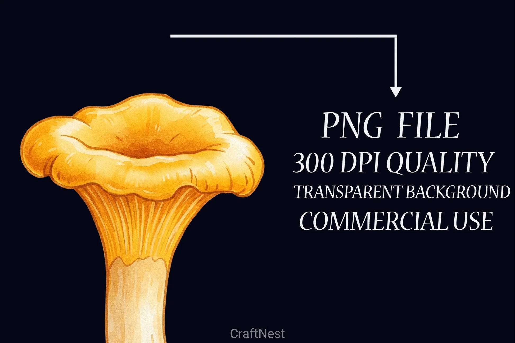 Edible Mushrooms Clipart Bundle 2 - CraftNest - Digital Crafting and Art