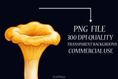 Edible Mushrooms Clipart Bundle 2 - CraftNest - Digital Crafting and Art