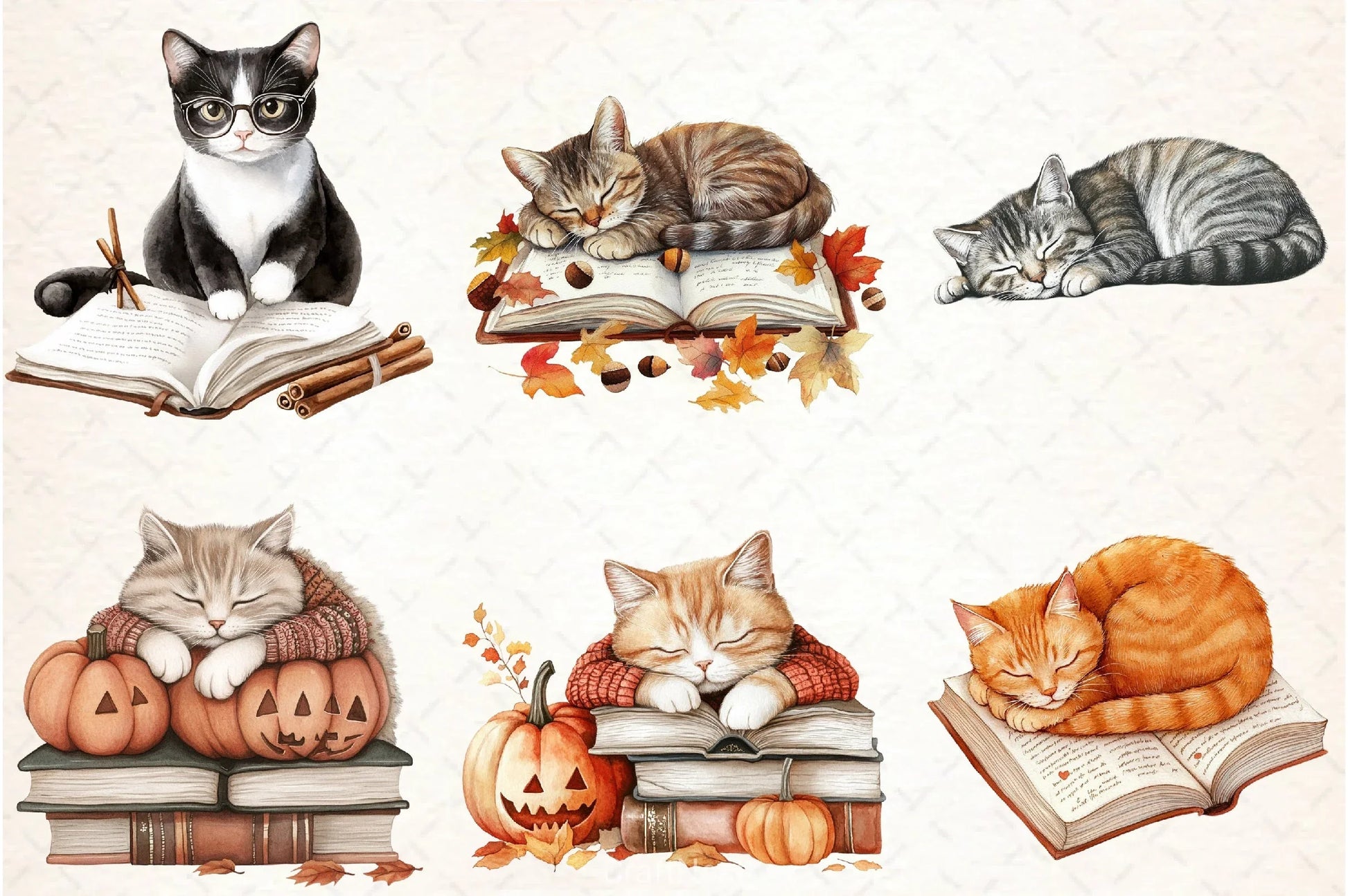 Cat & Book Fall Vibes Clipart Bundle - CraftNest - Digital Crafting and Art