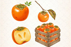 Persimmon Fruit Clipart Bundle 5 - CraftNest - Digital Crafting and Art
