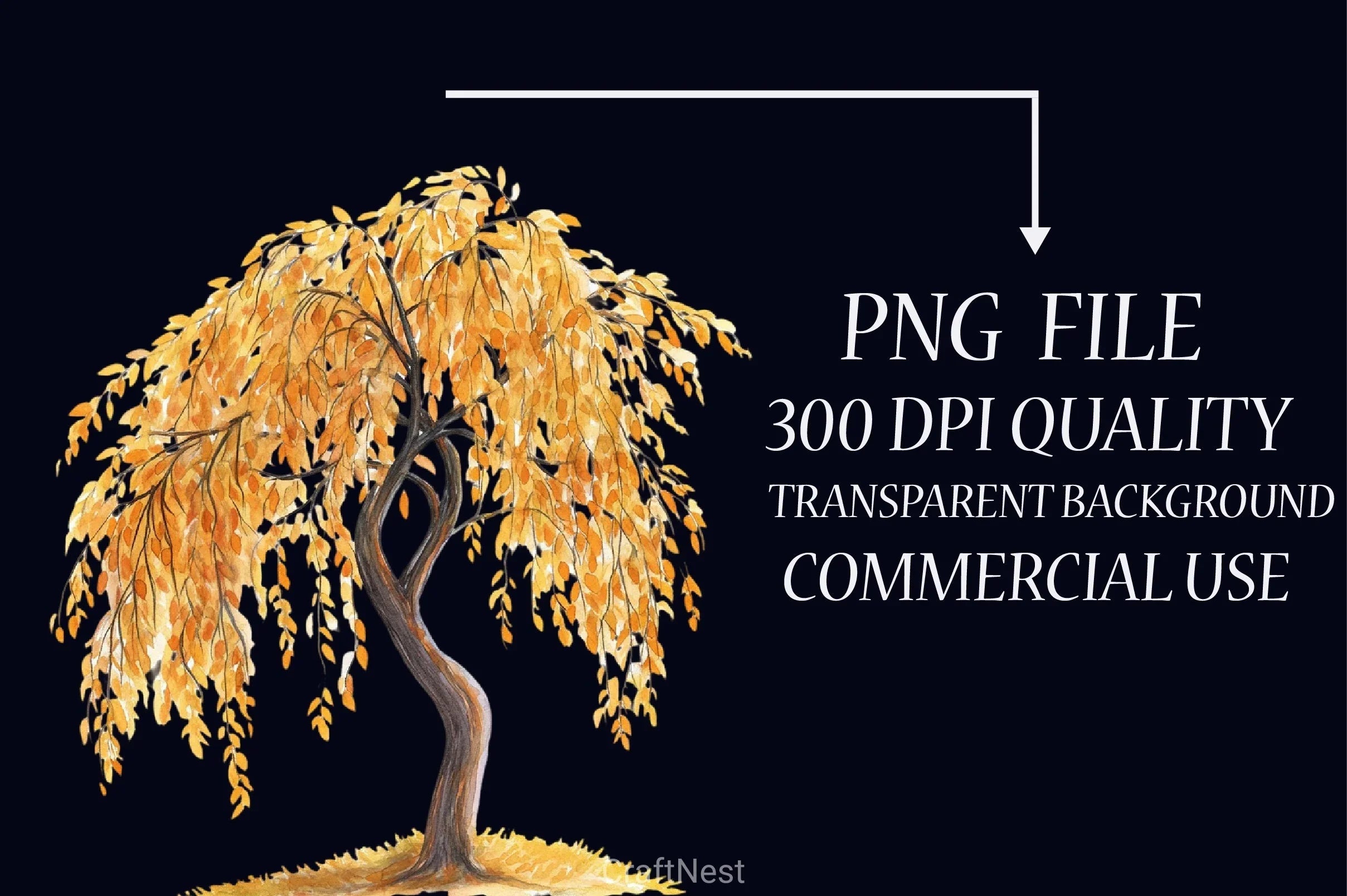 Autumn Trees Clipart Bundle 6 - CraftNest - Digital Crafting and Art