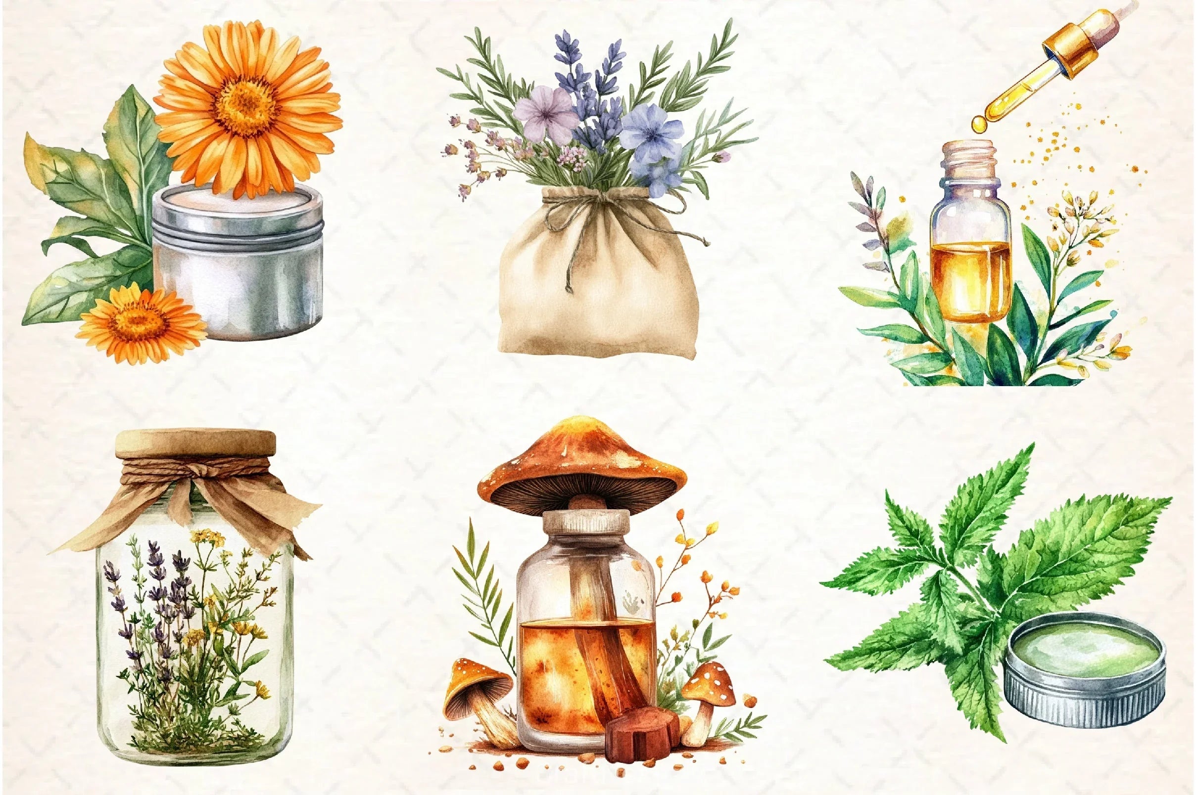 Natural Remedies Clipart Bundle 4 - CraftNest - Digital Crafting and Art