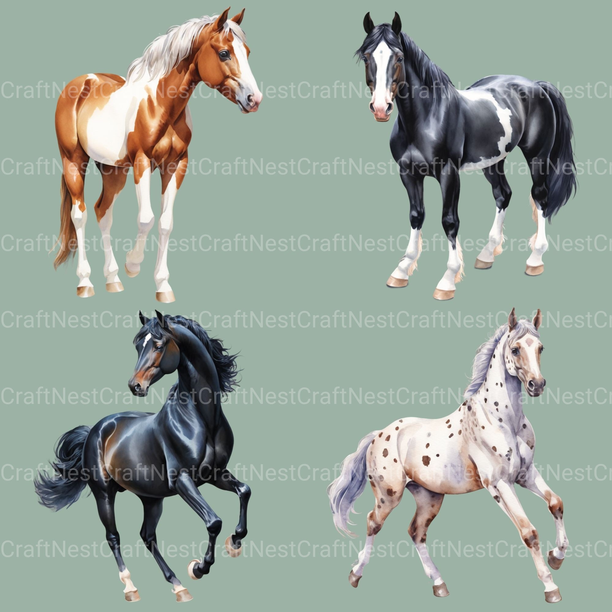 Horses Clipart Bundle 2